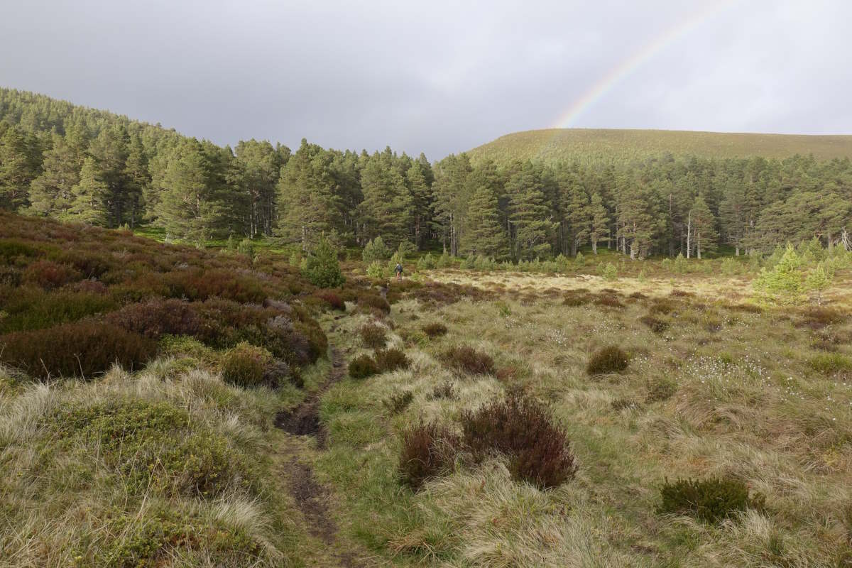 cairngorm loop