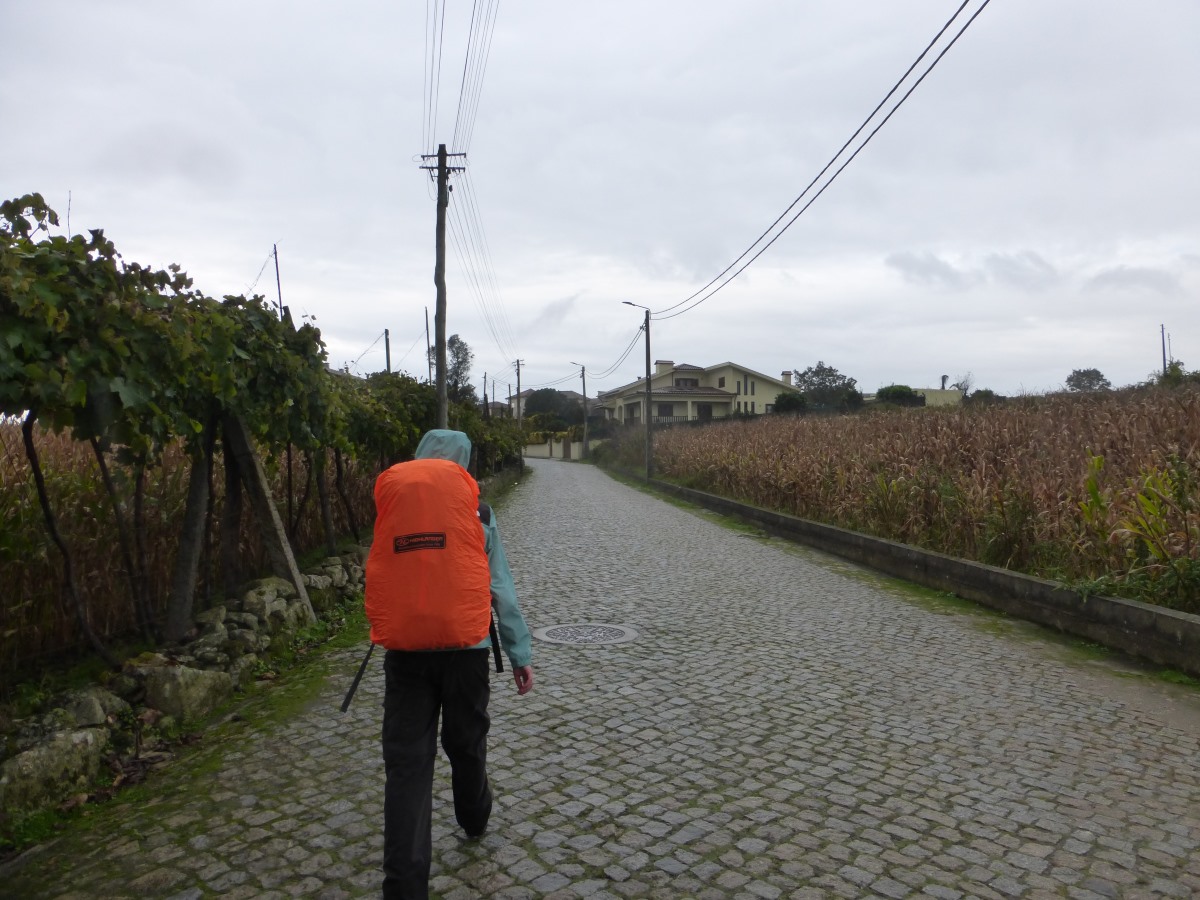 camino portugues