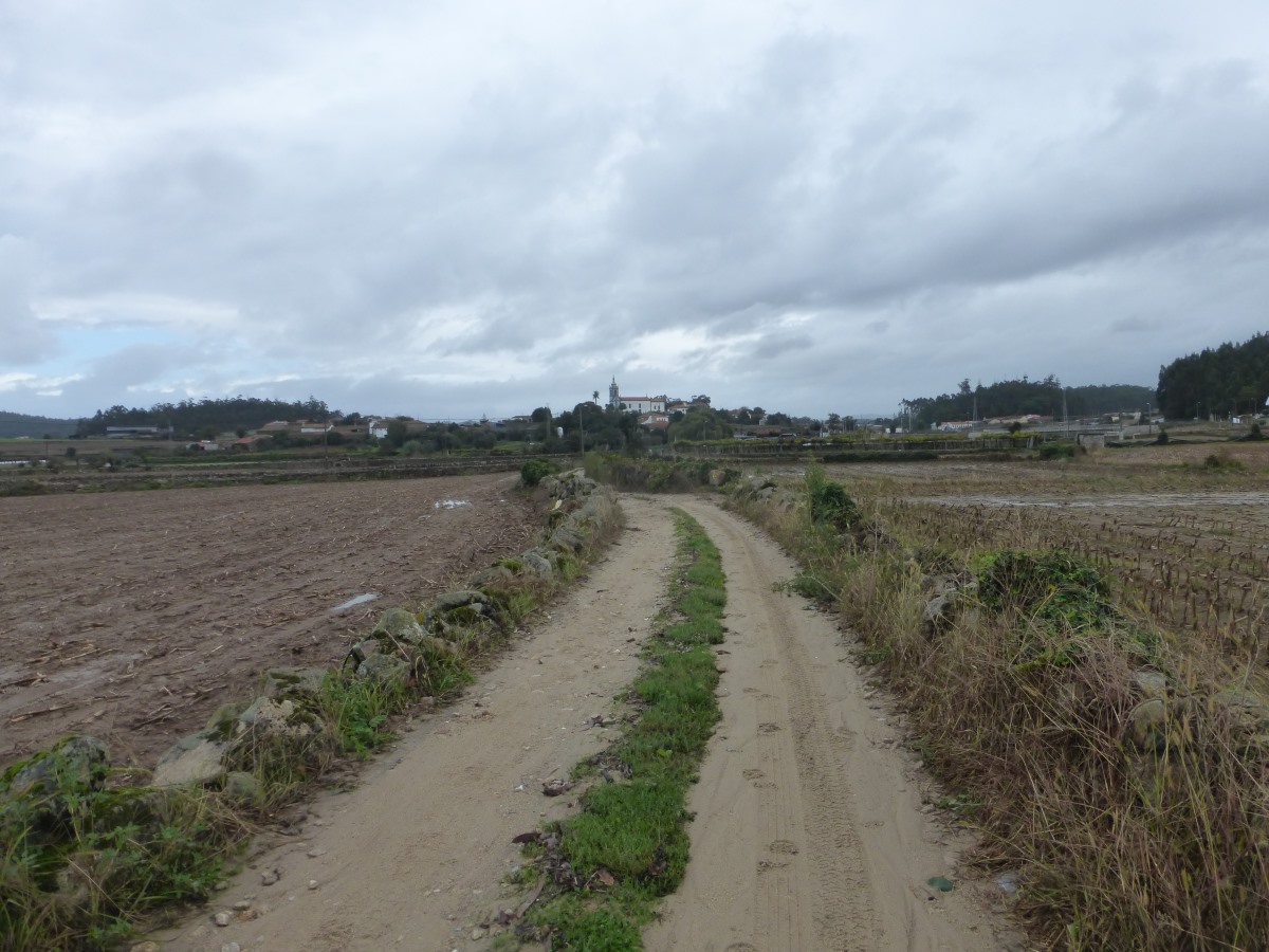 camino portugues