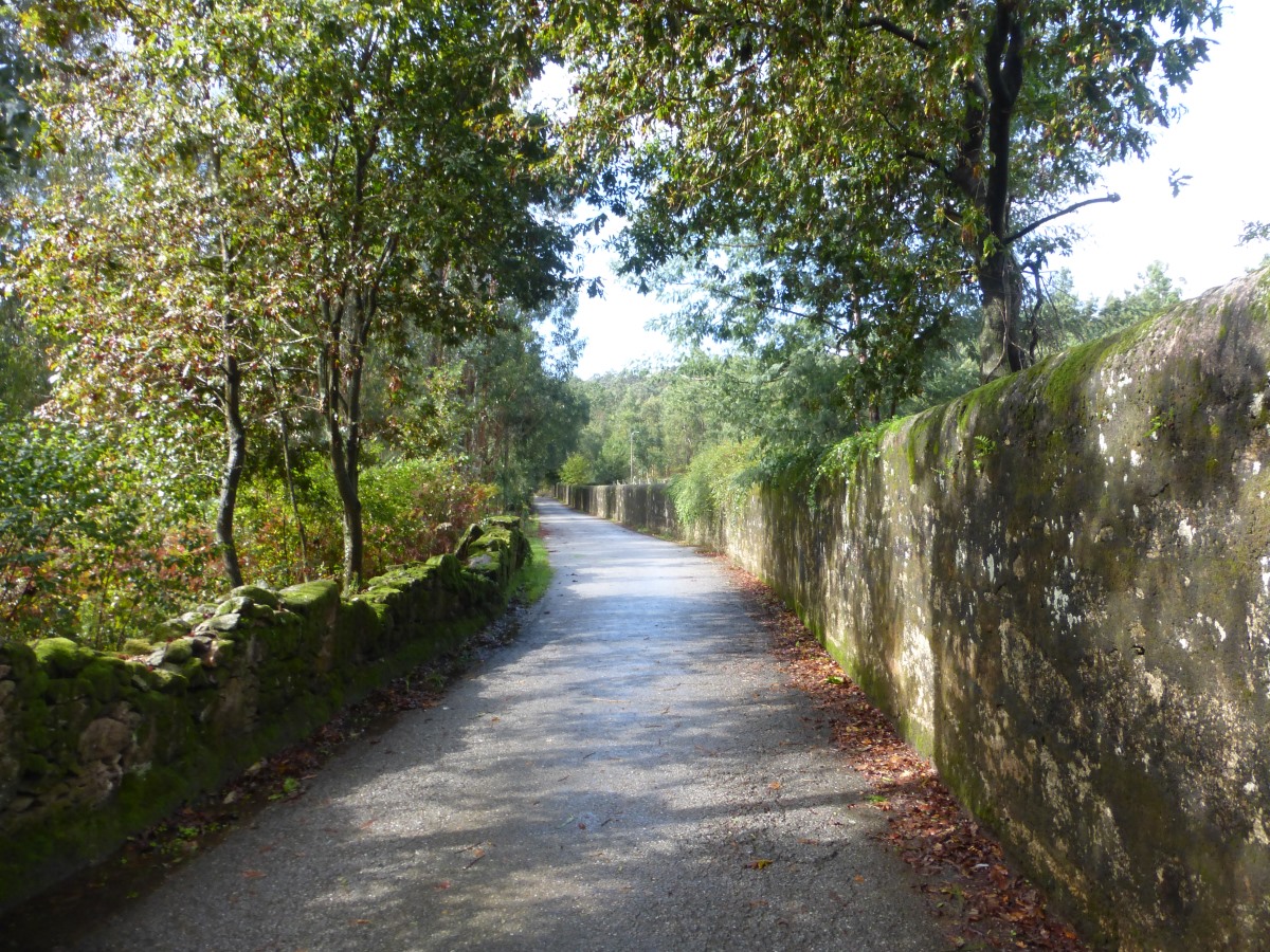 camino portugues
