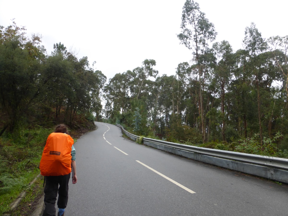 camino portugues