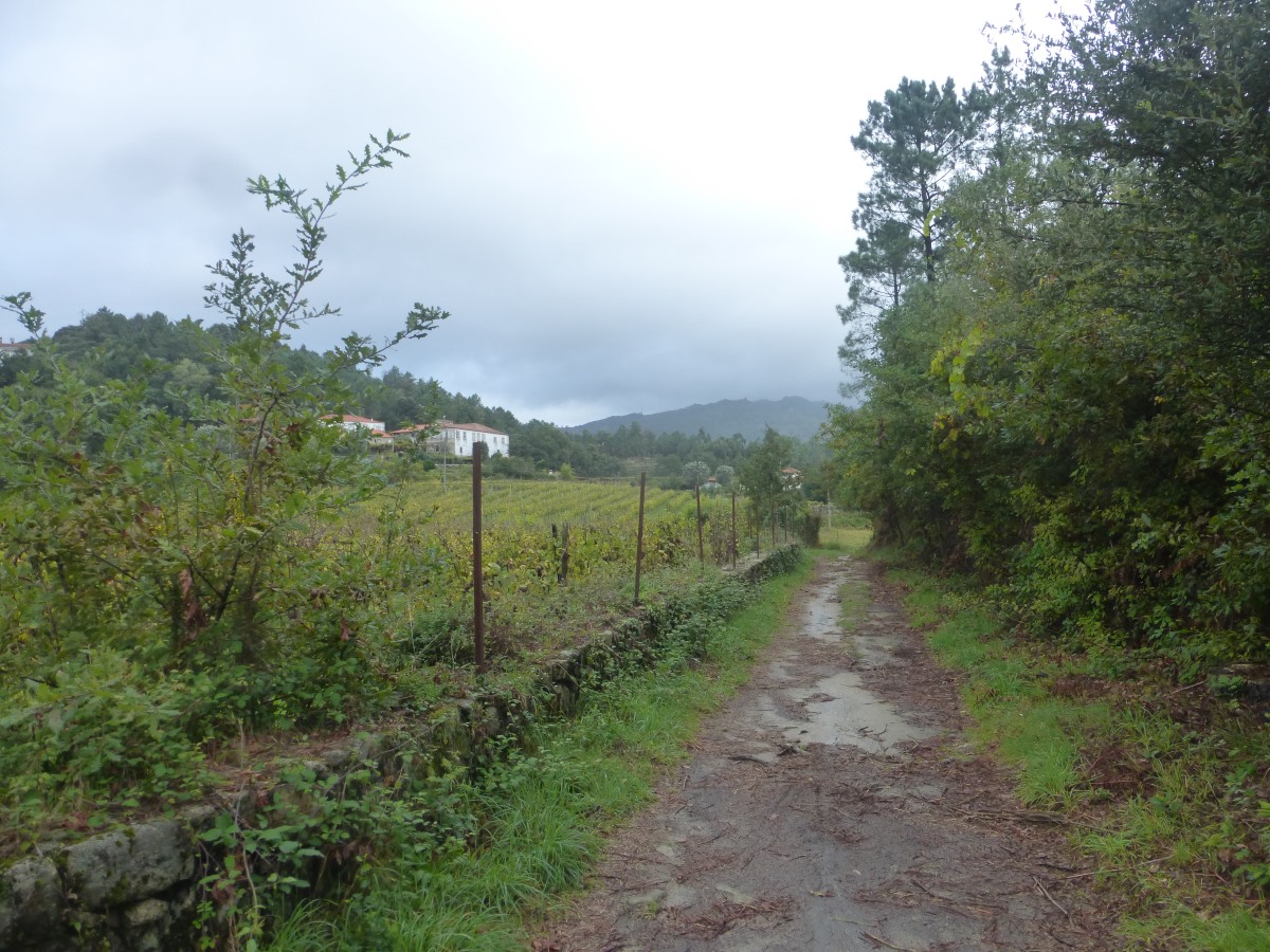 camino portugues