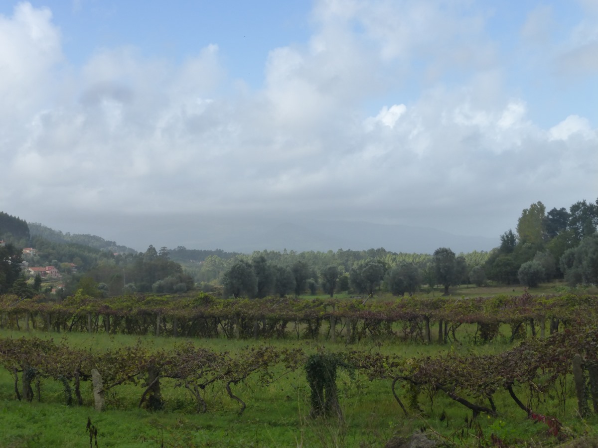 camino portugues