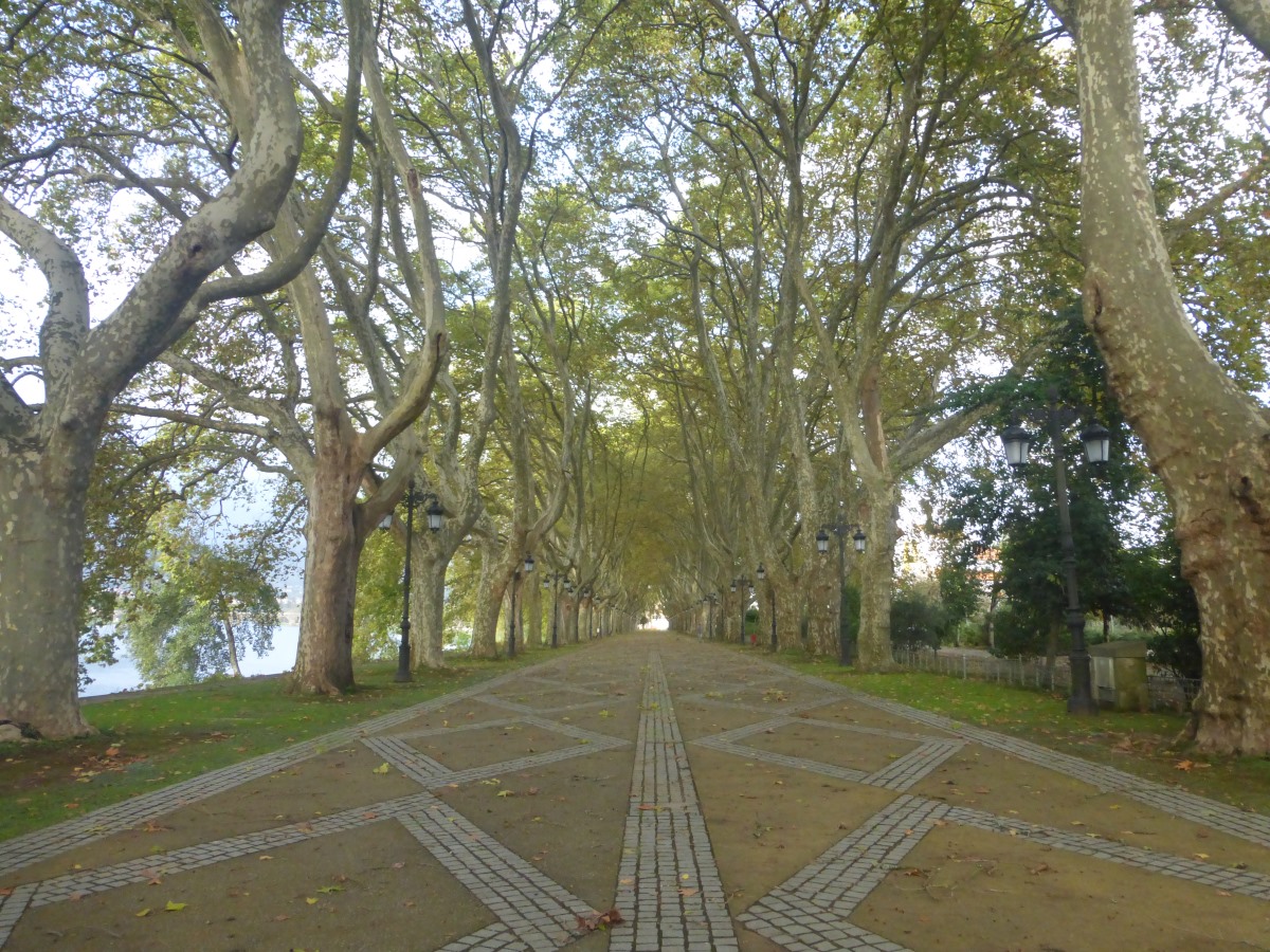 camino portugues