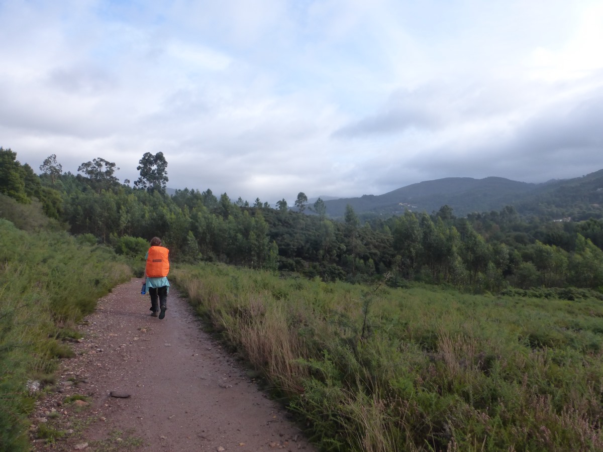 camino portugues