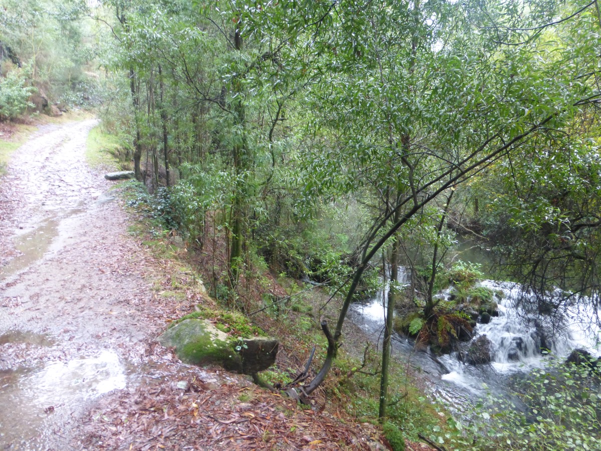 camino portugues