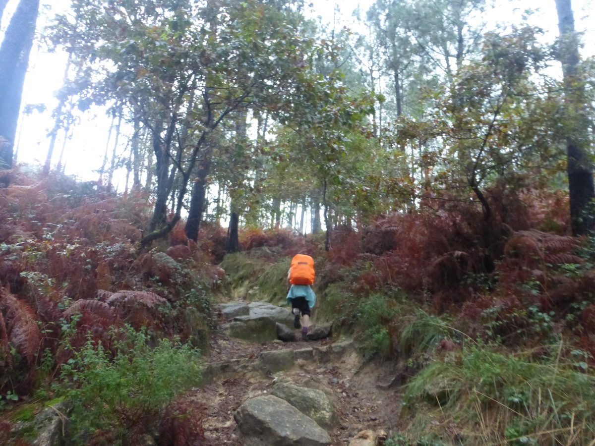 camino portugues
