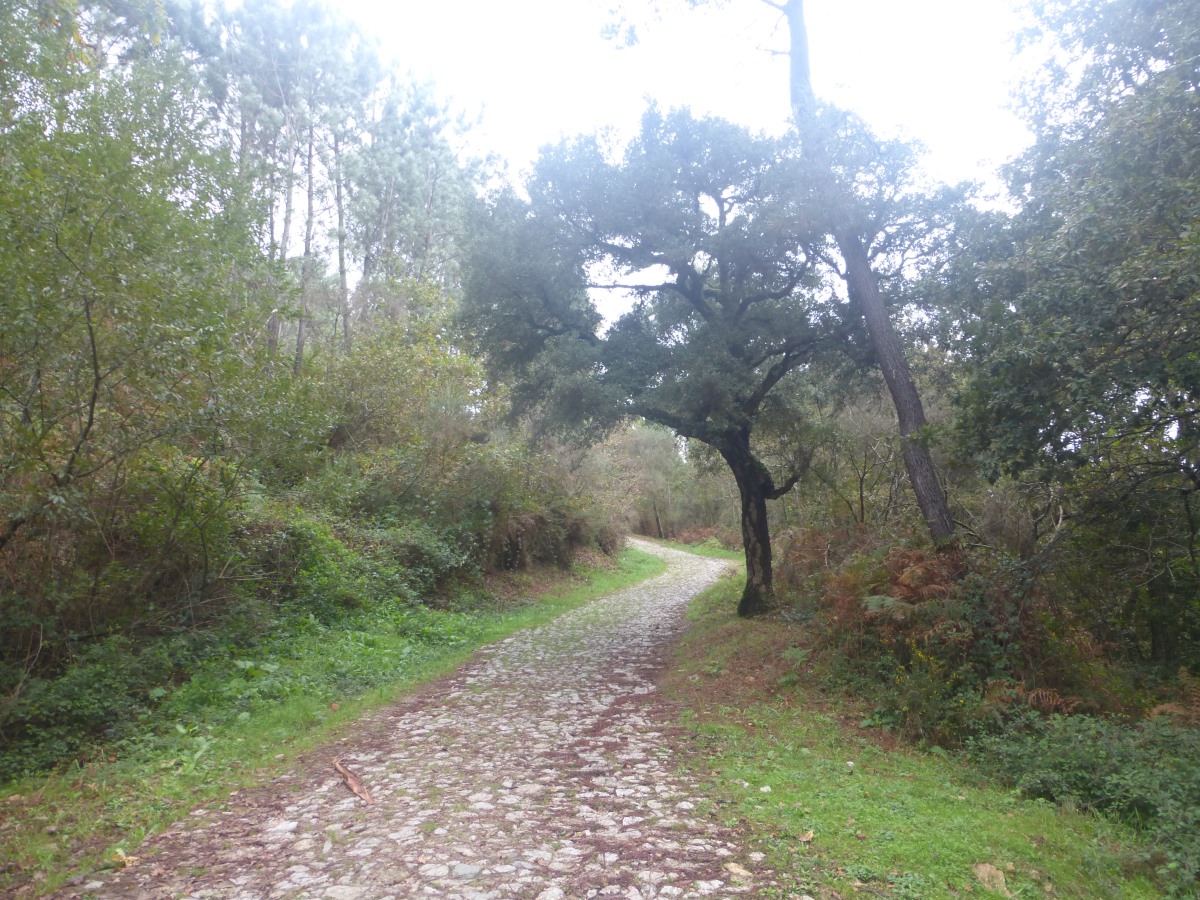 camino portugues