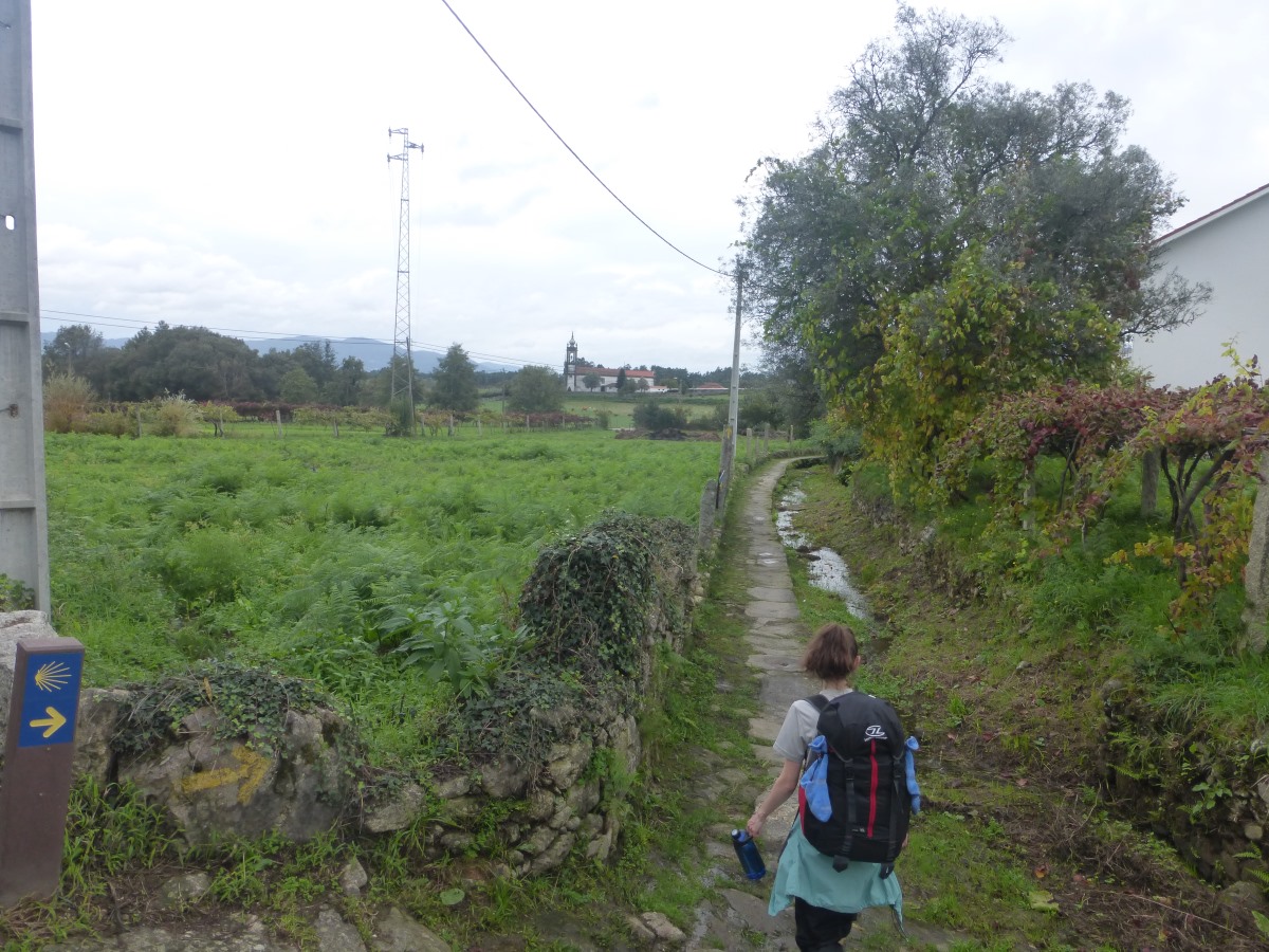camino portugues