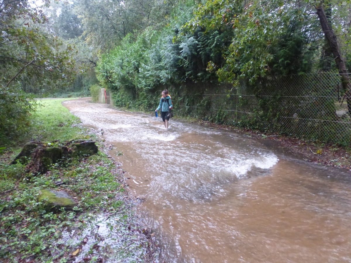 camino portugues