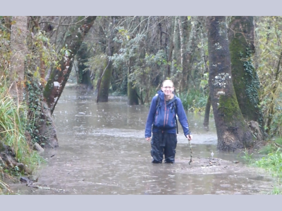 camino portugues