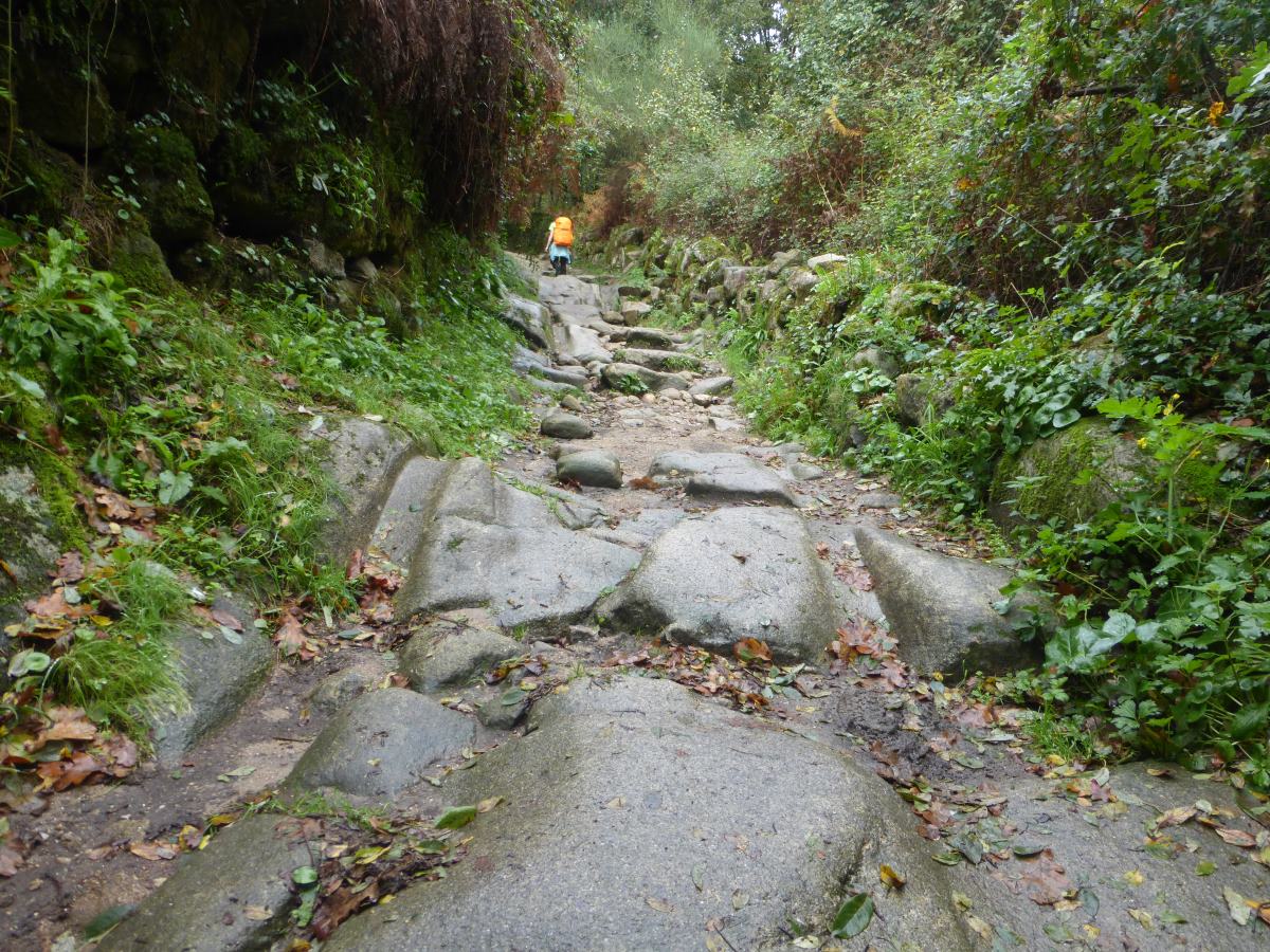 camino portugues