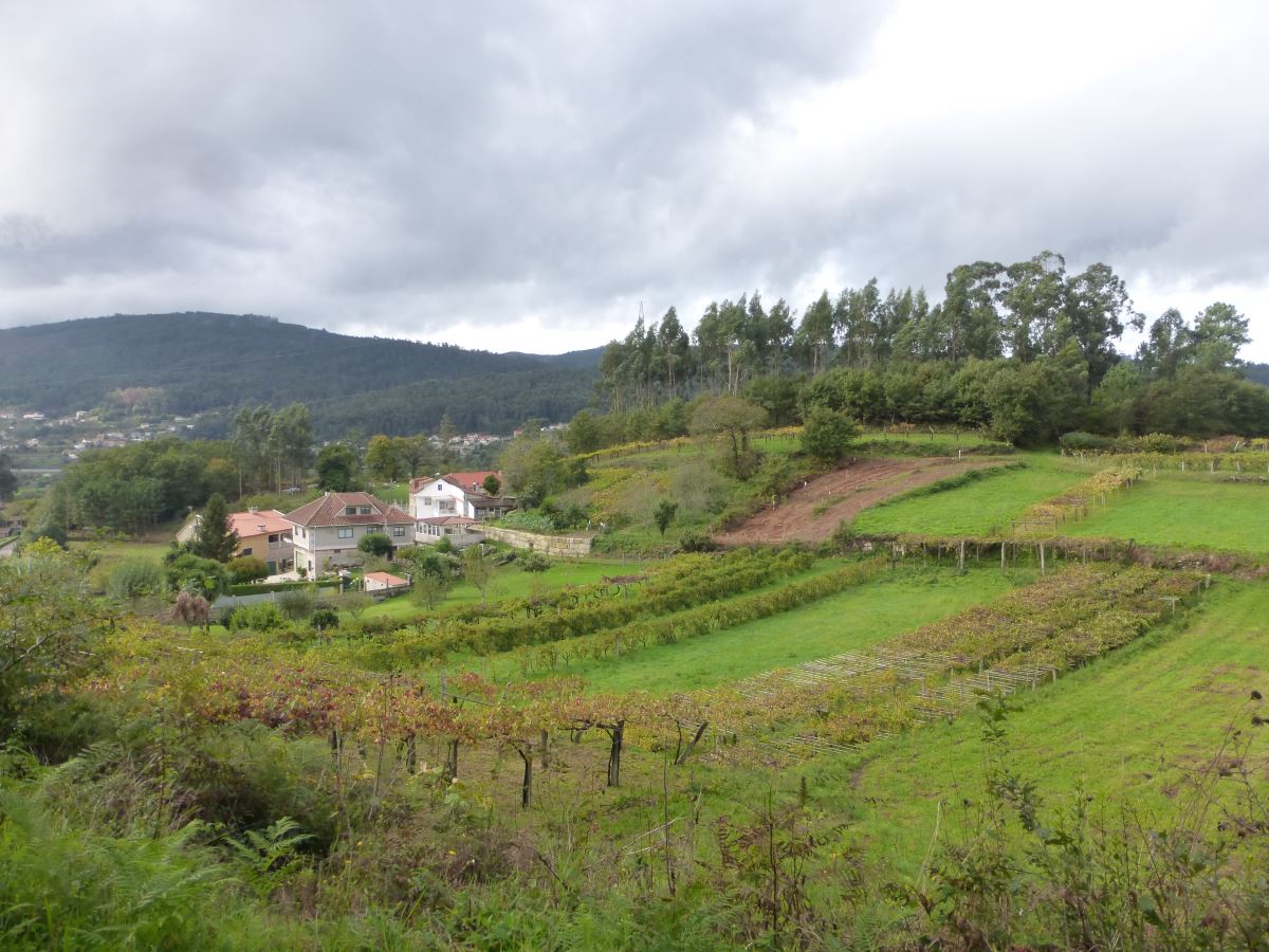 camino portugues