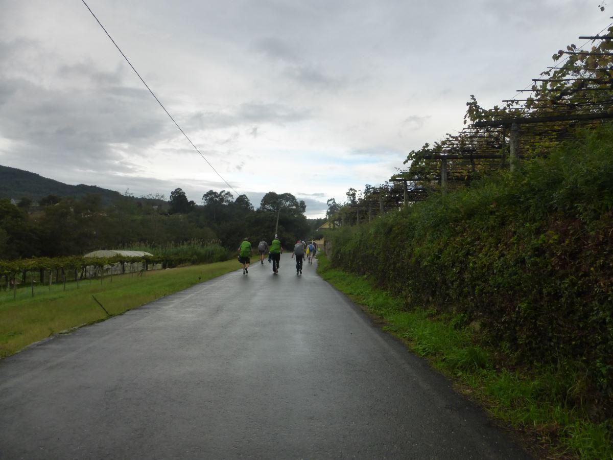 camino portugues