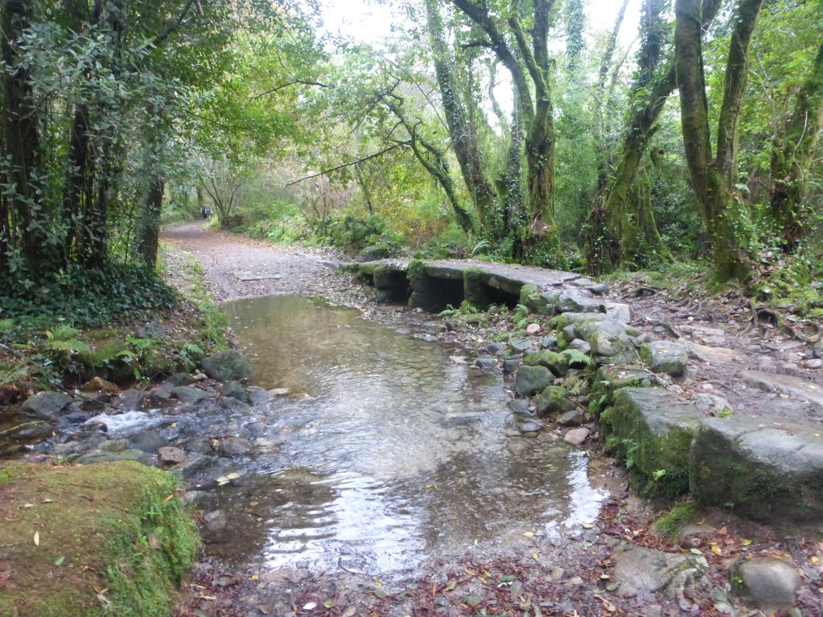 camino portugues