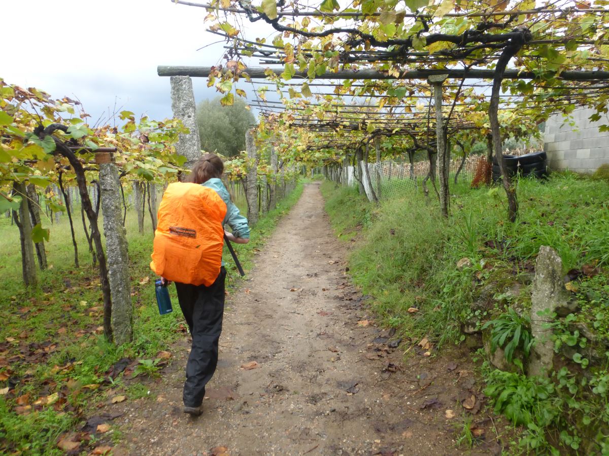 camino portugues