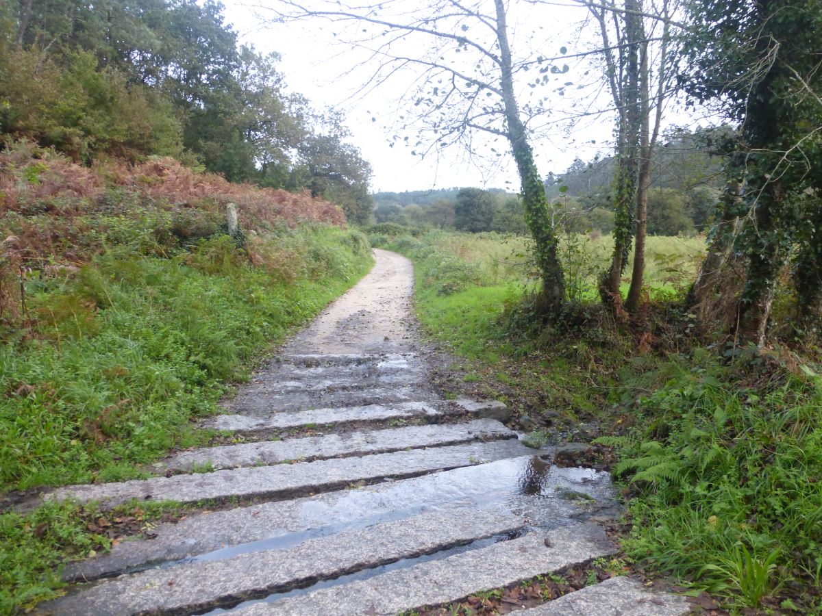 camino portugues