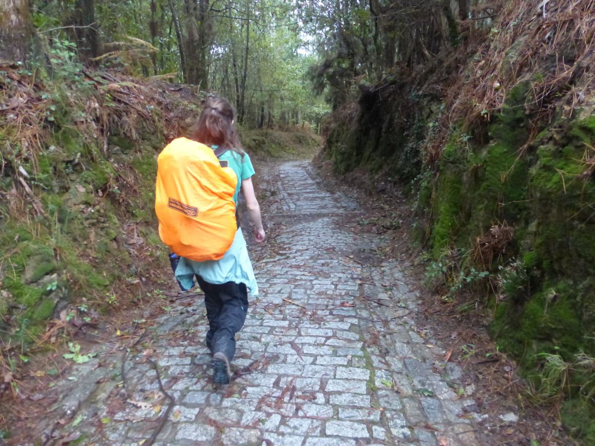 camino portugues