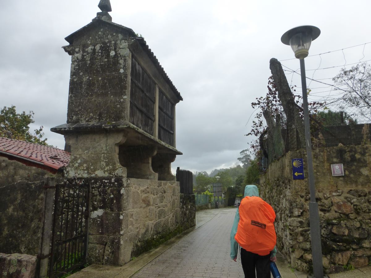 camino portugues