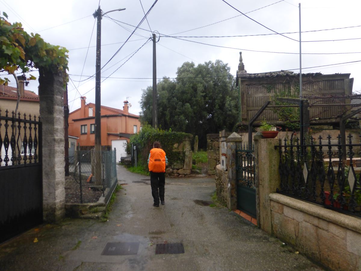 camino portugues