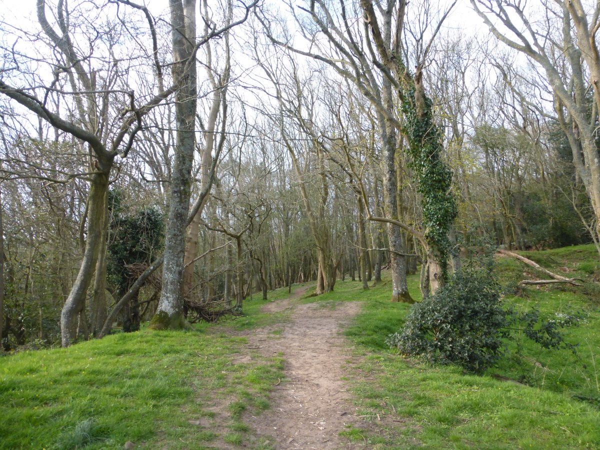 Offa's Dyke