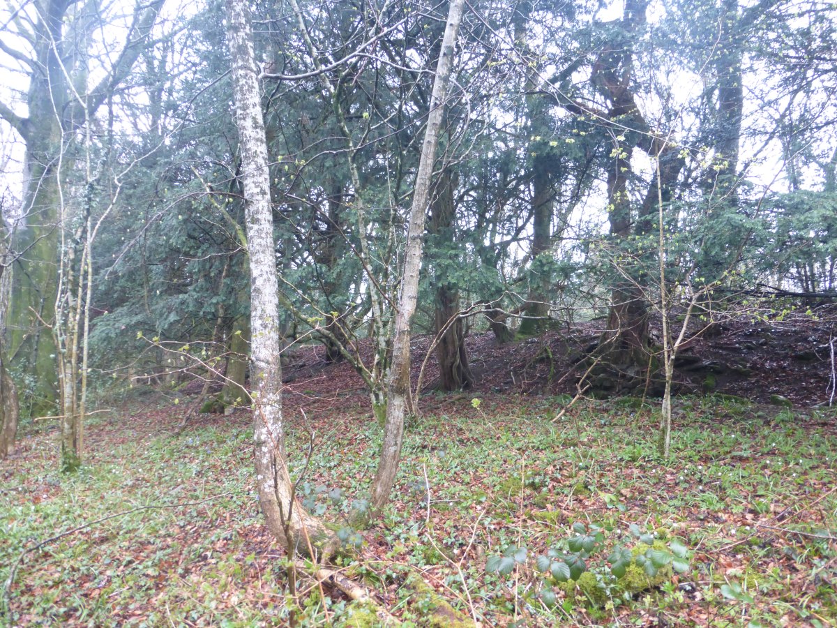 Offa's Dyke