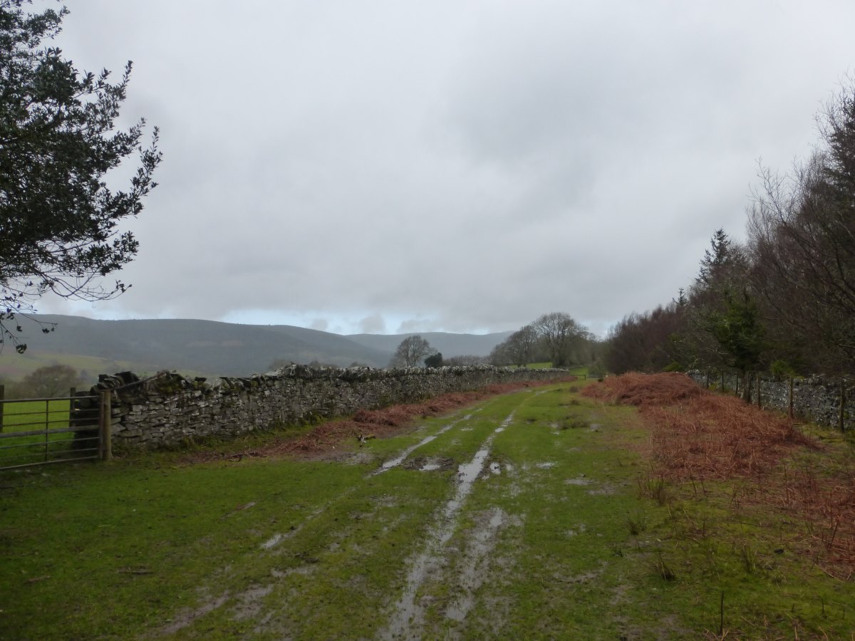 Cambrian Way