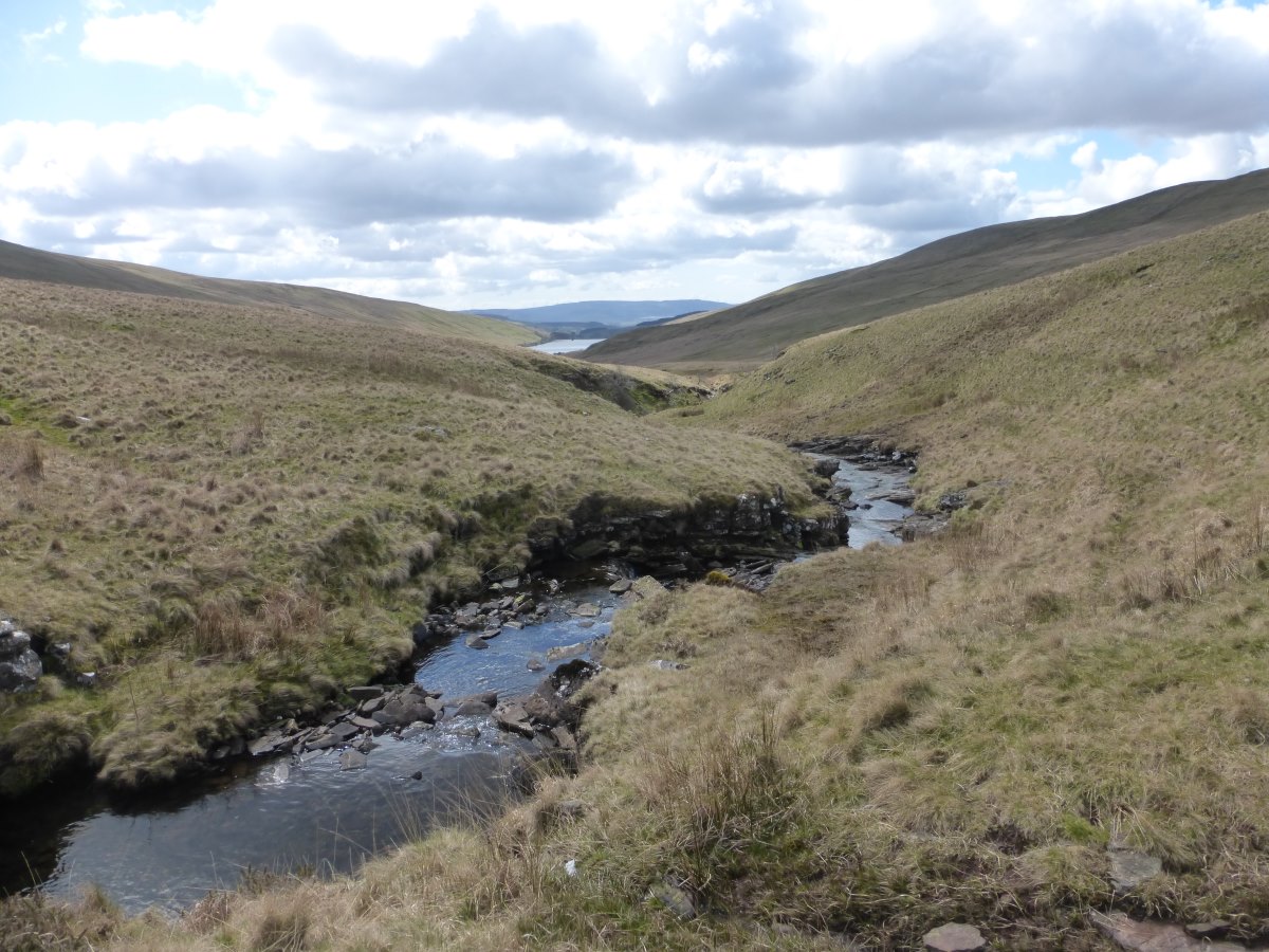 Cambrian Way