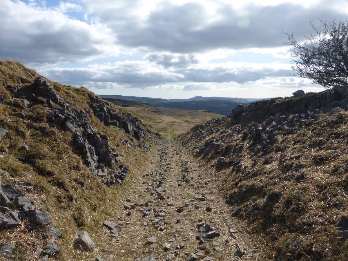 Cambrian Way