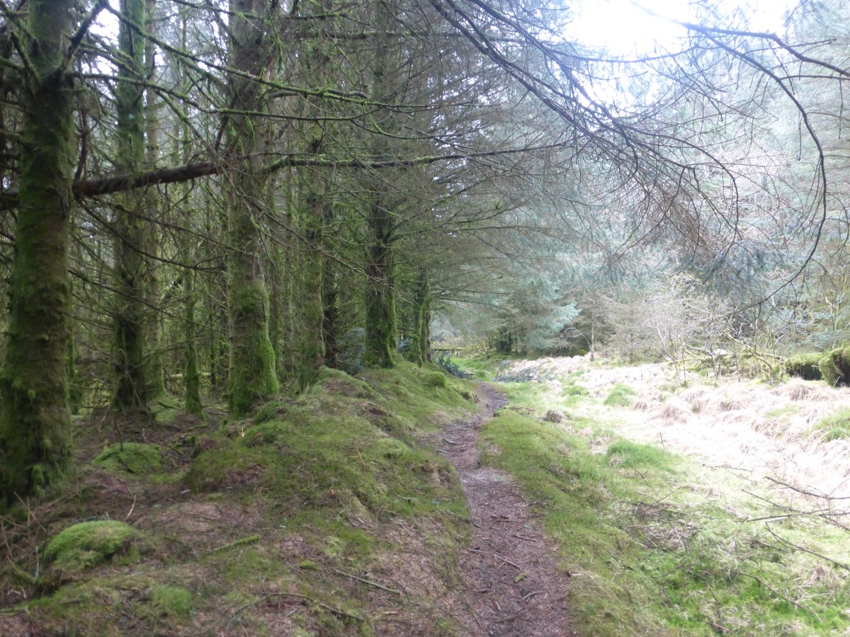 Cambrian Way