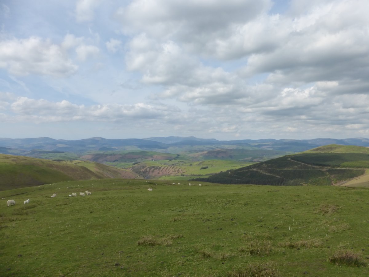 Cambrian Way