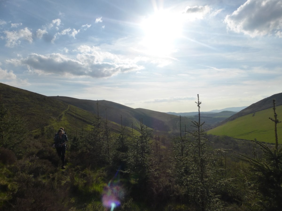 Cambrian Way