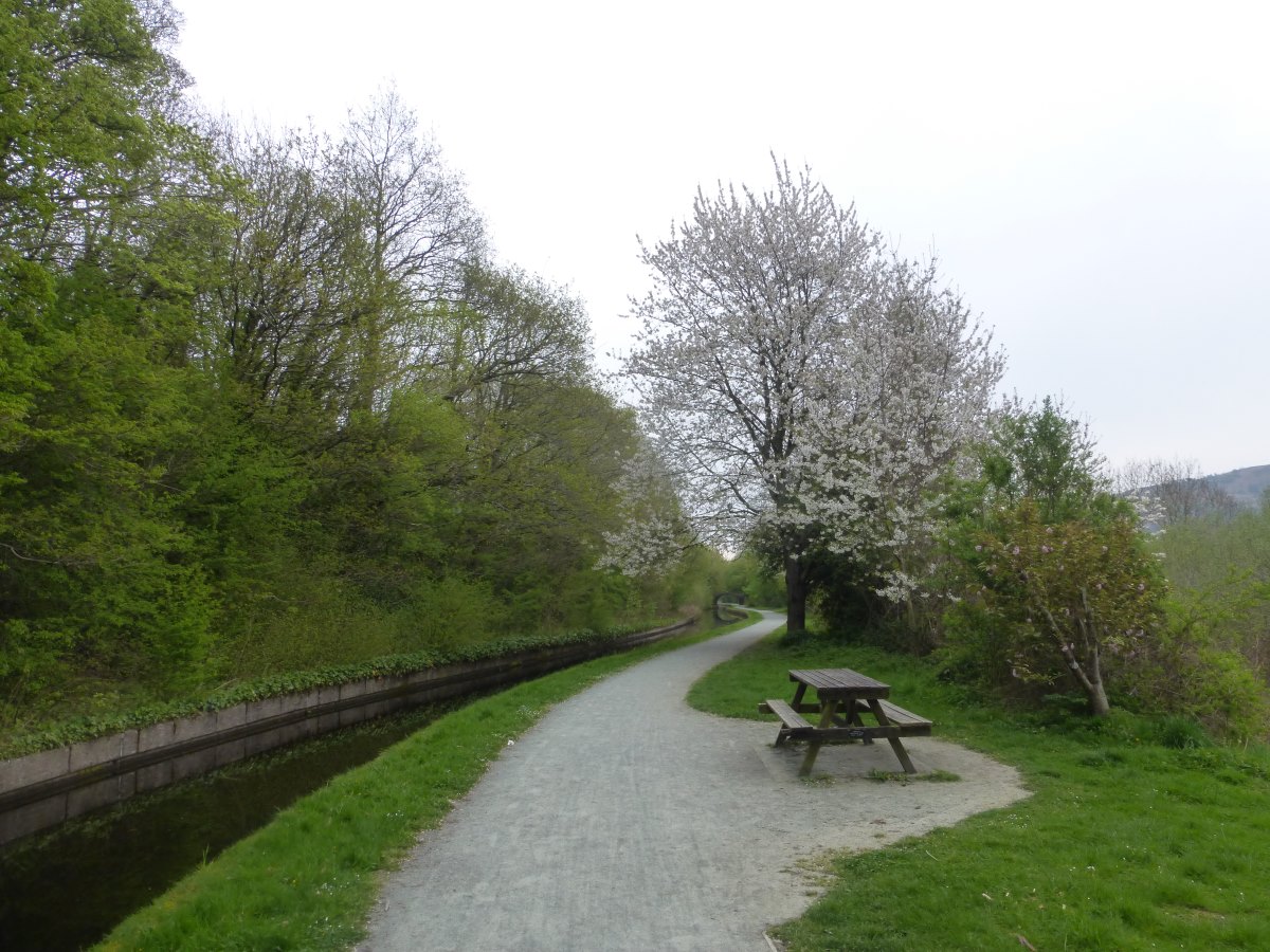 Llangollen Canal