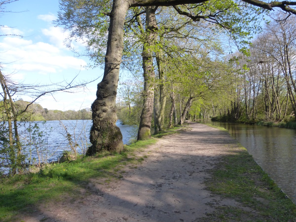 Llangollen Canal