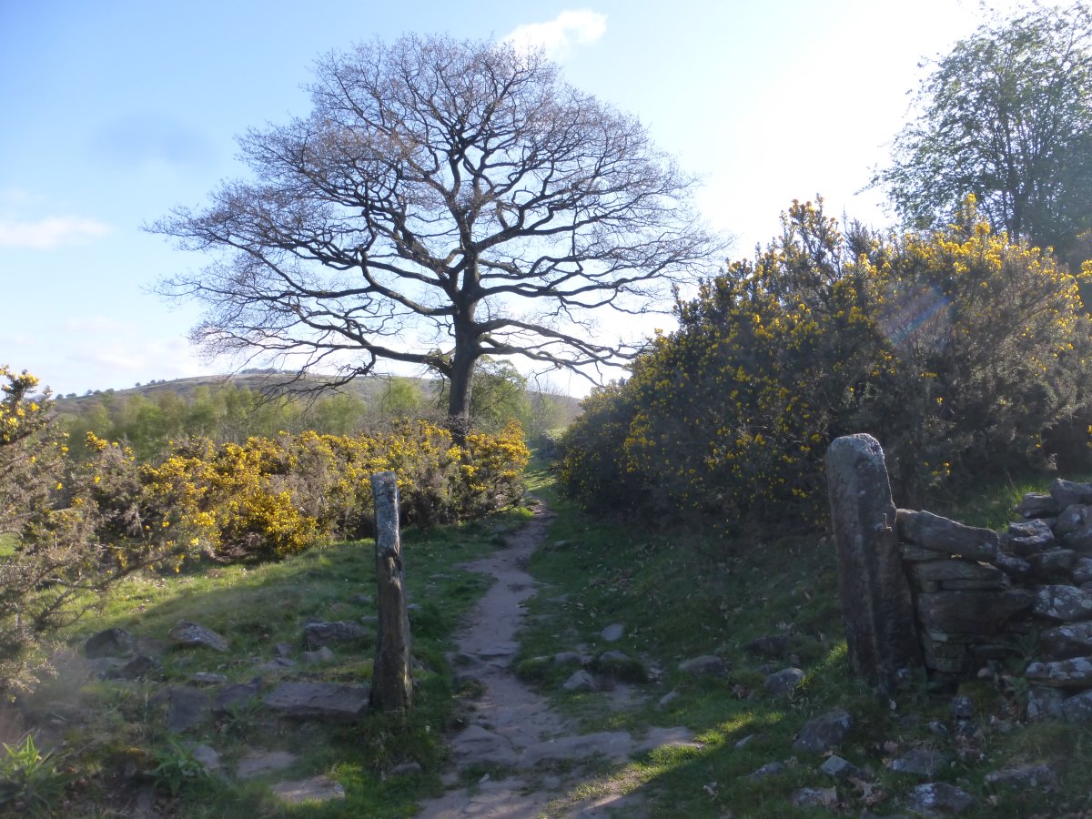 Dane Valley Way