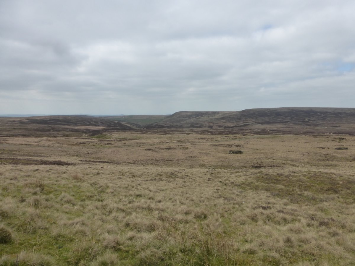 Dane Valley Way