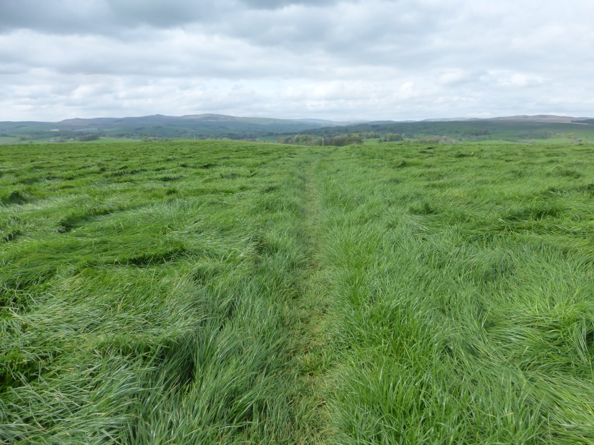 Pennine Way