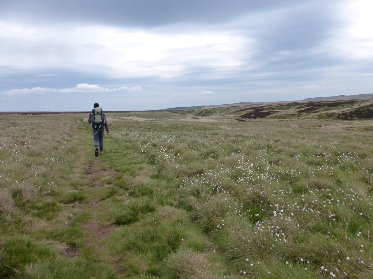 Pennine Way