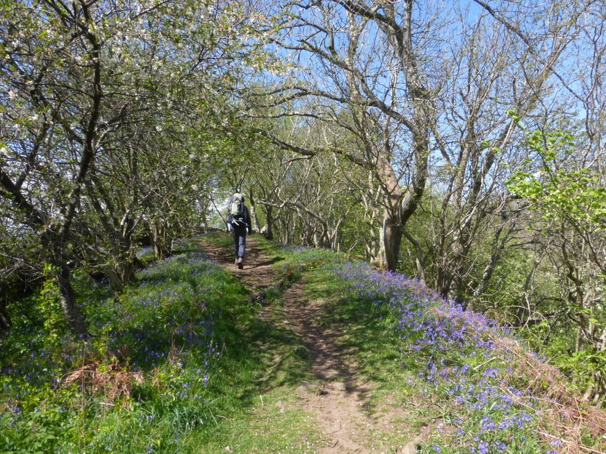 Pennine Way