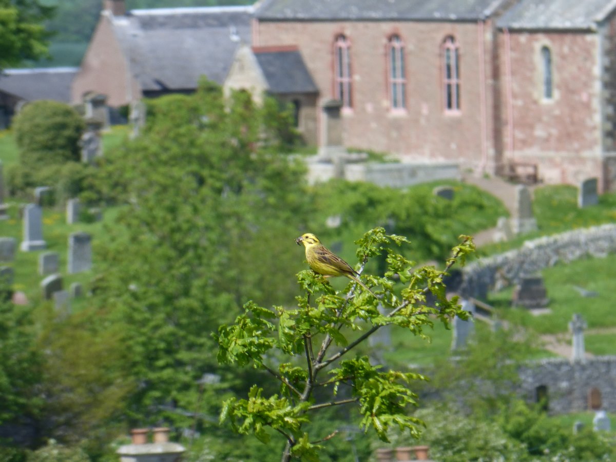 St Cuthbert's Way