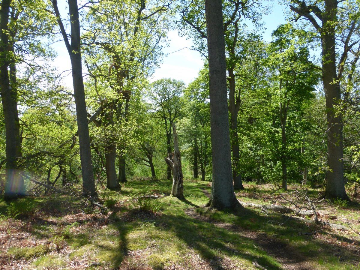 St Cuthbert's Way