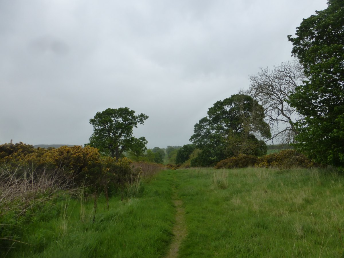 St Cuthbert's Way