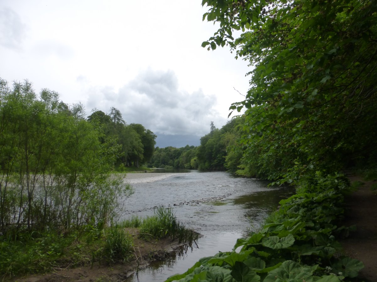 St Cuthbert's Way