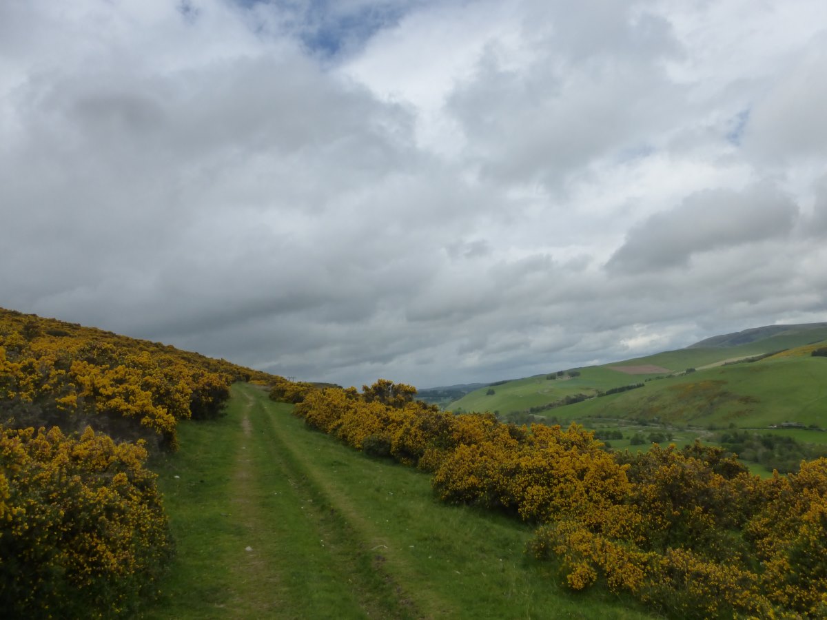 Cross Borders Drove Road