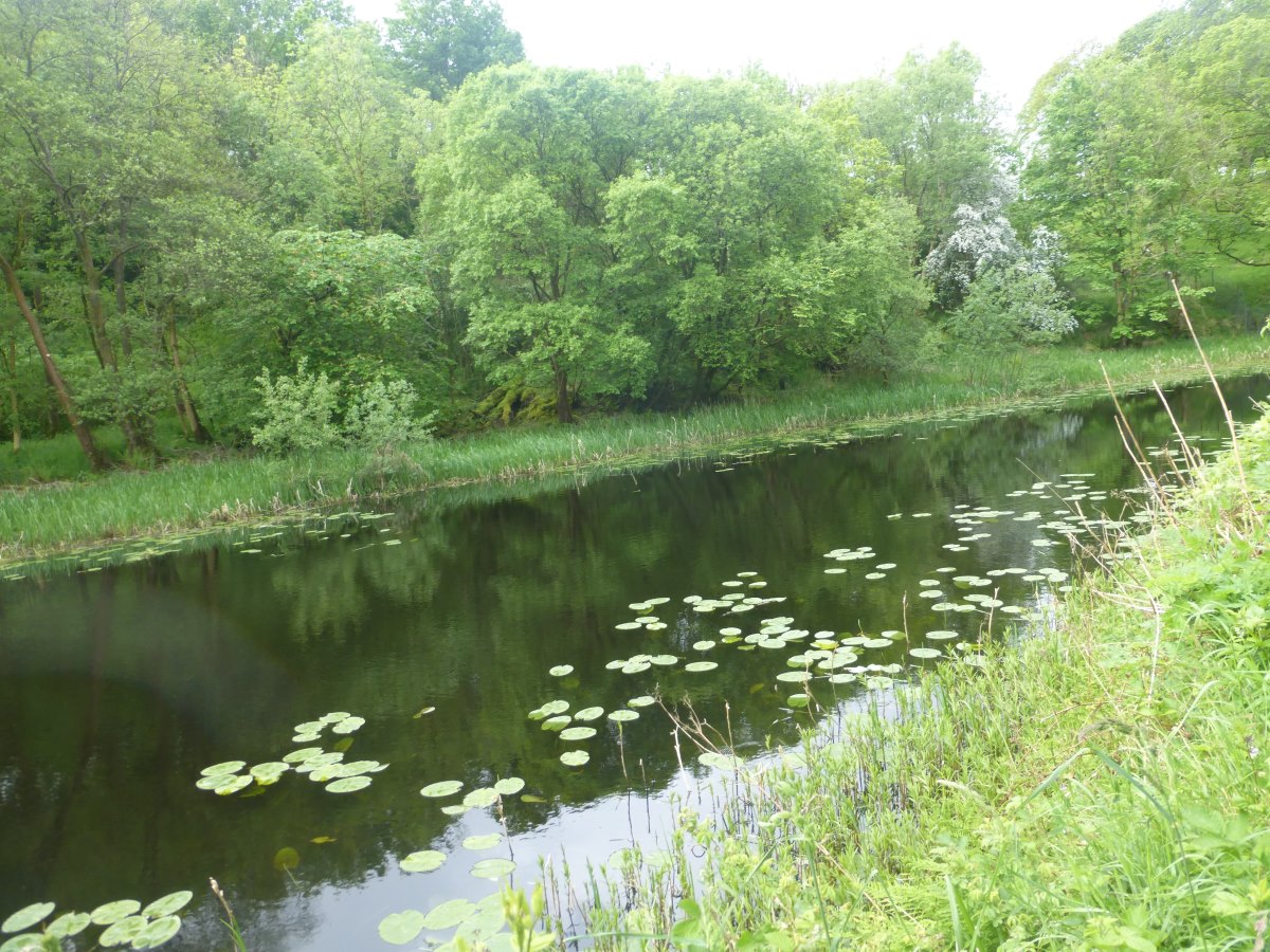 Union Canal
