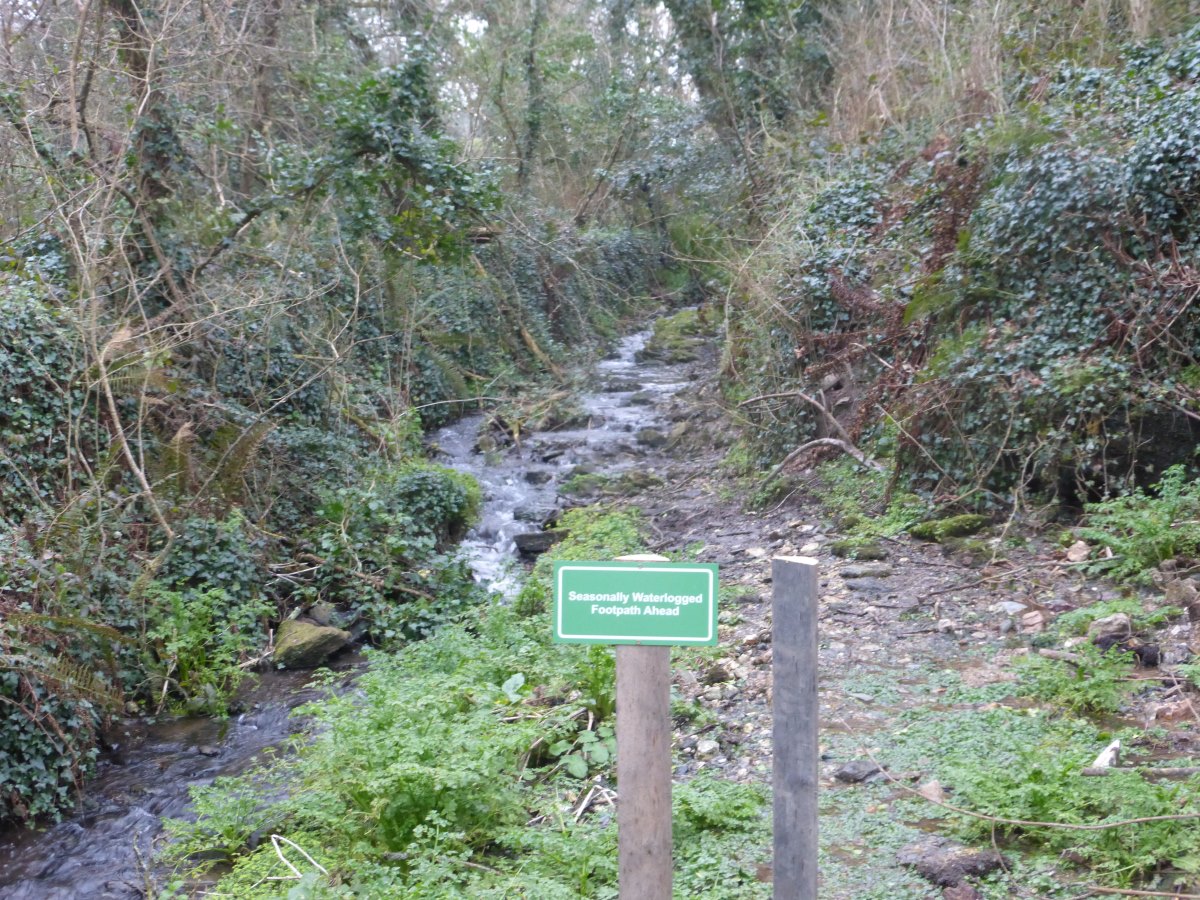 SW Coast Path