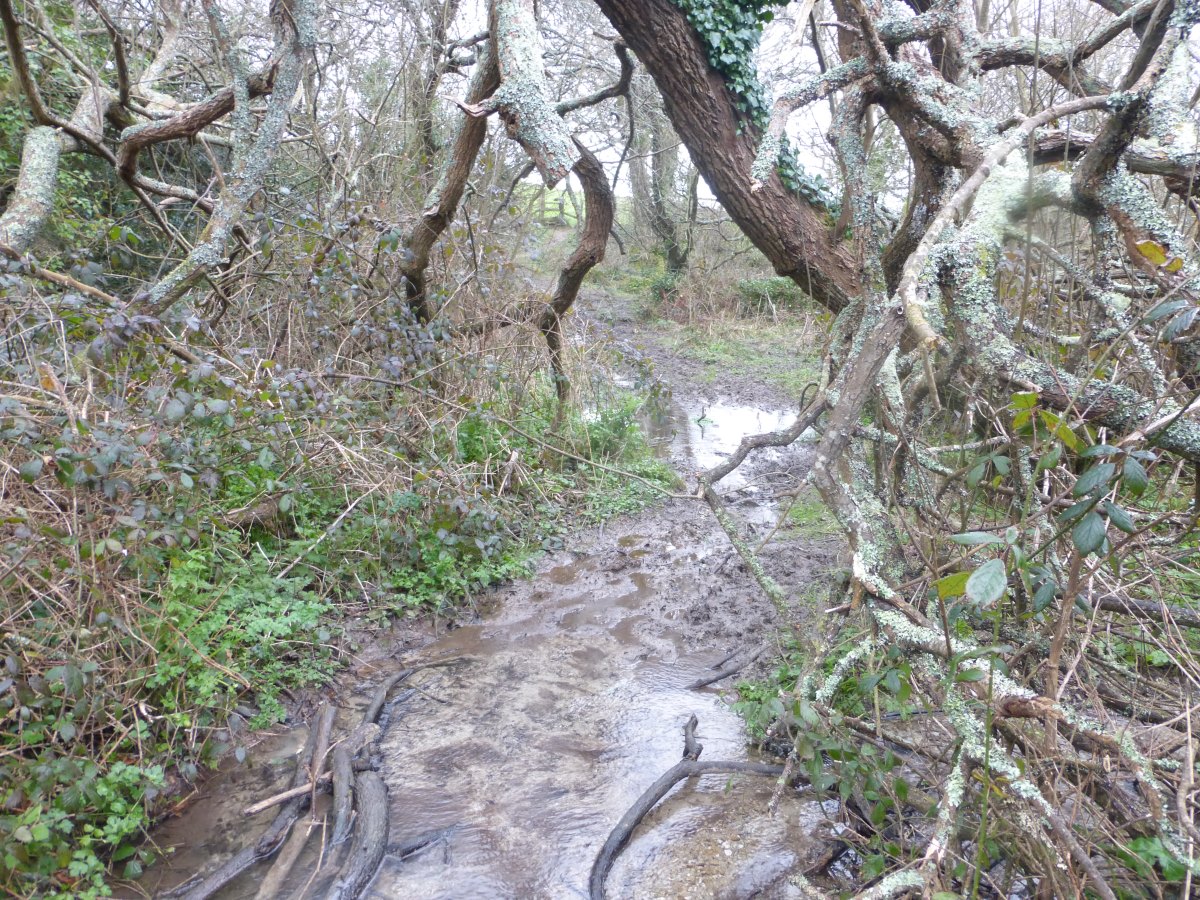 SW Coast Path