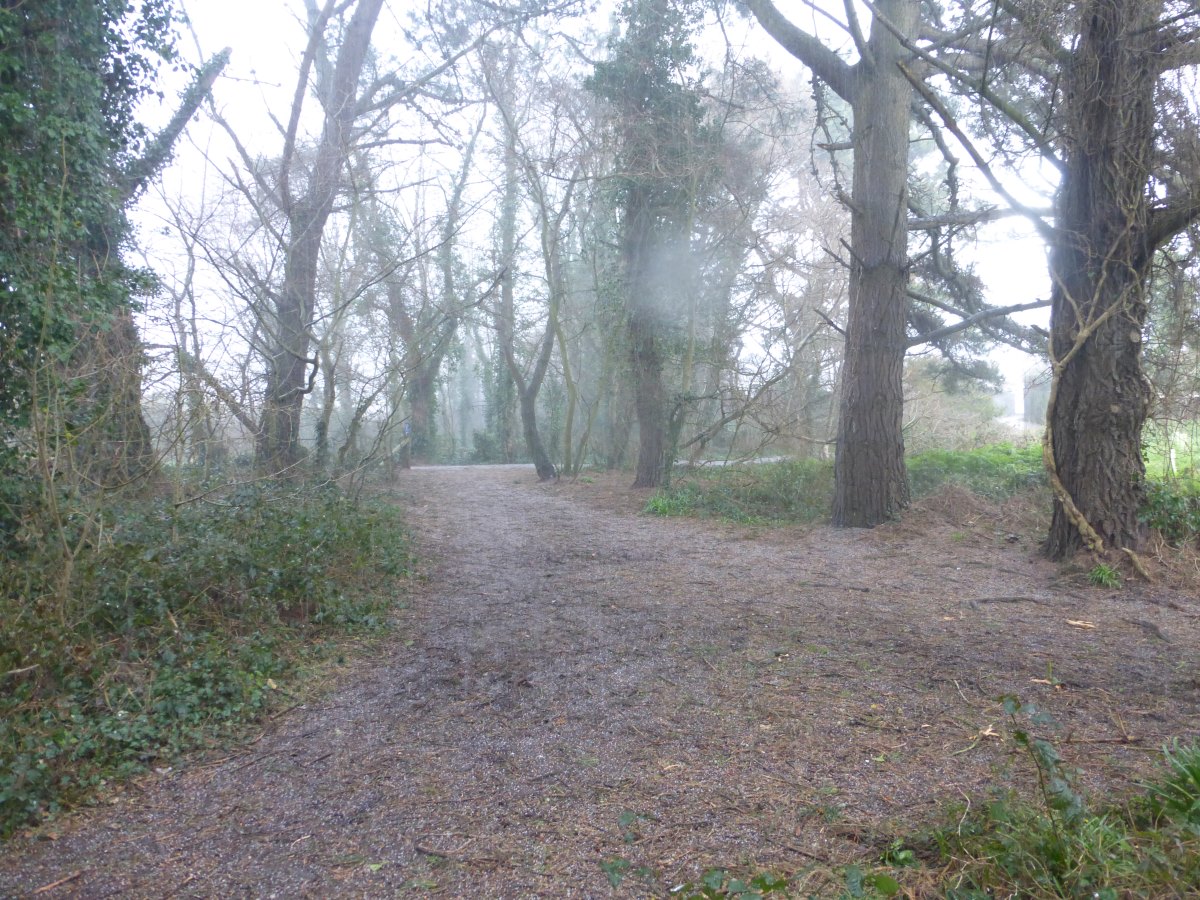 SW Coast Path