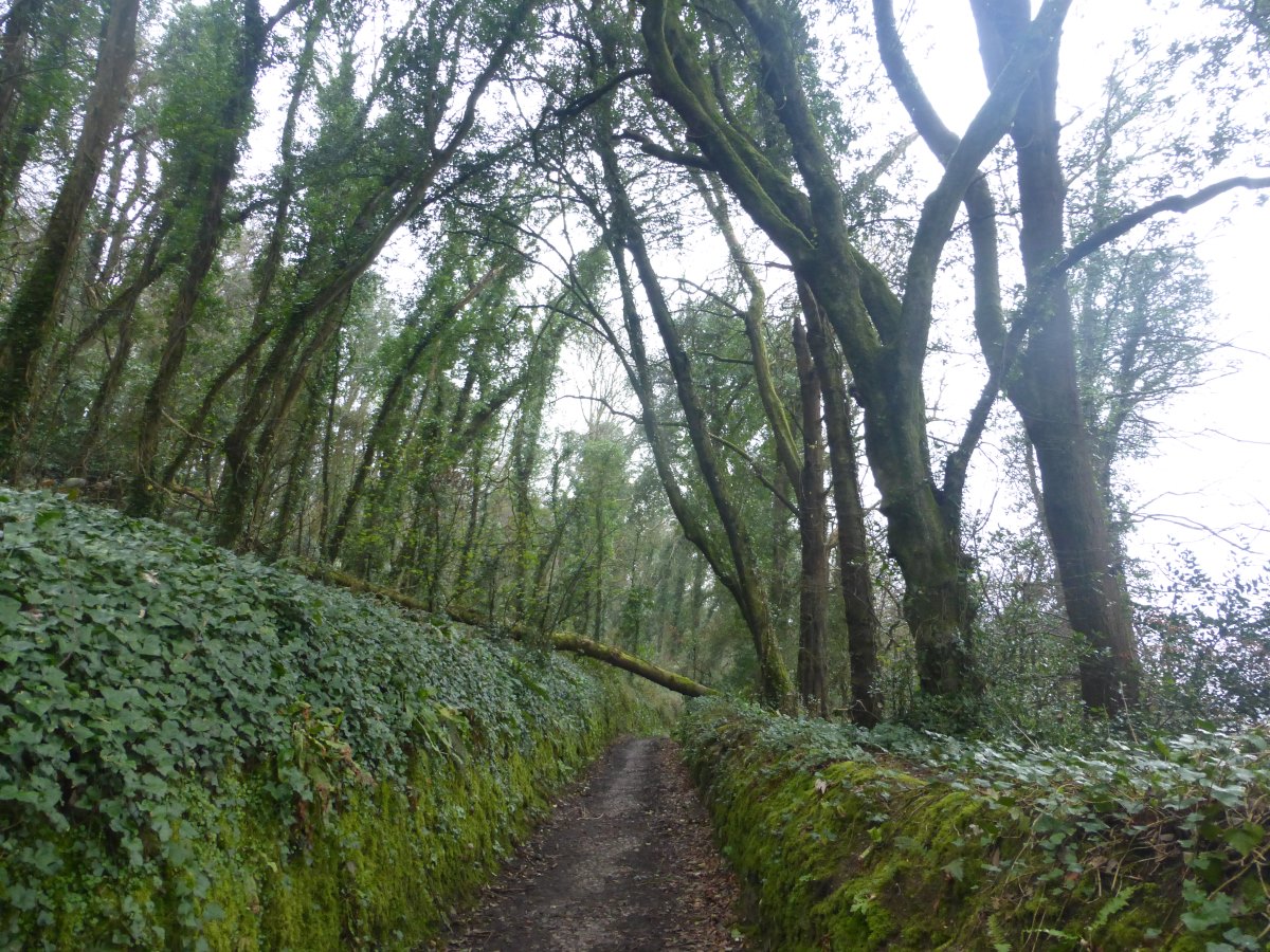 SW Coast Path