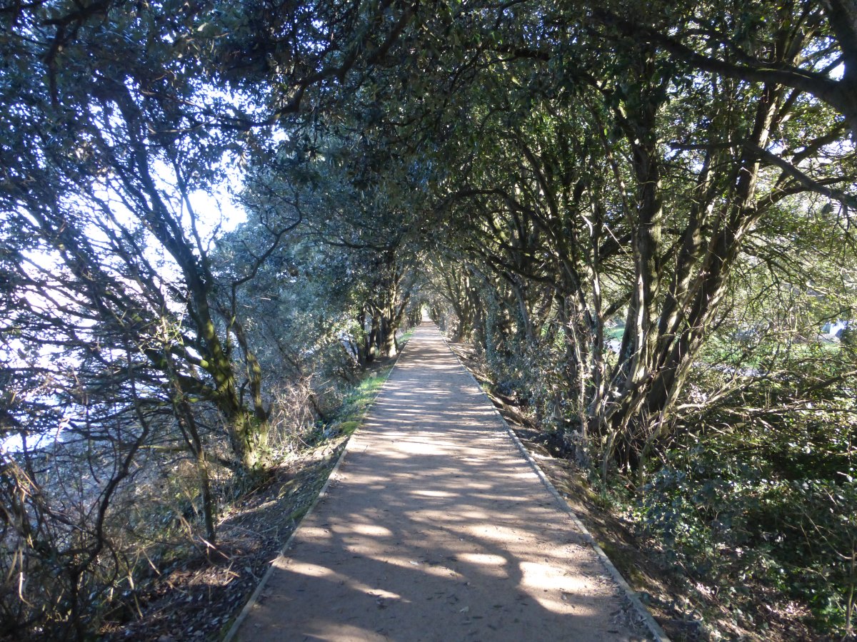 Plymouth to Ivybridge